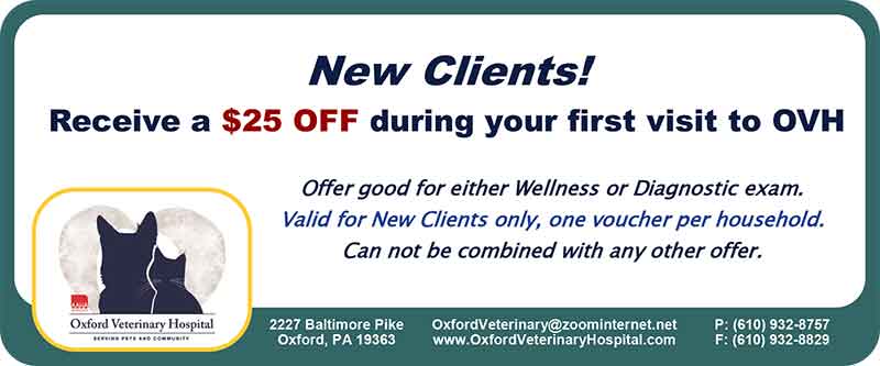 New Client Coupon