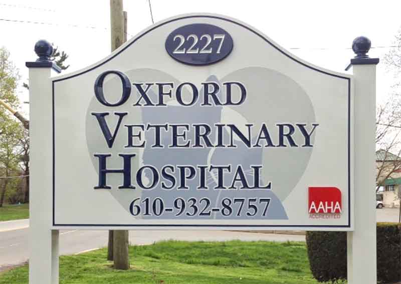 Oxford Vets - dogs and cats